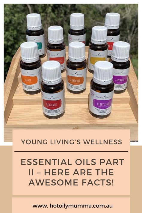 I said in my last post how FRUSTRATING it’s been – for SO long – to not be able to talk about all the therapeutic, health-giving properties of Young Living’s oils. At last, with the release of their Wellness Essential Oils collection I can spill the beans! #propertiesofessentialoils #essentialoilsproperties #essentialoils #bootcamp #howtouse #youngliving #naturalhealth #diy Young Living Bergamot, Focus Essential Oil Blend, Essential Oils Properties, Relieve Itchy Skin, How To Relieve Nausea, Essential Oils Collection, Skin Burns, Ylang Ylang Essential Oil, Cedarwood Oil