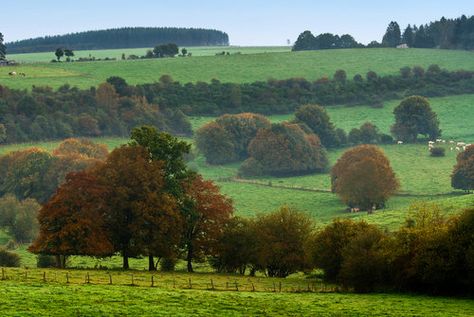 Autumn in the Belgium countryside. Belgium Travel, Landscape Concept, French Countryside, Secret Places, European Travel, Tourist Attraction, Belgium, Natural World, Netherlands