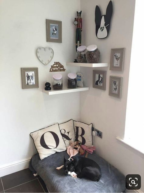 Dog Corner Ideas, Dog Reference, Psy Chihuahua, Dog Room Decor, Dog Bedroom, Puppy Room, Dog Corner, Corner Ideas, Dog Spaces