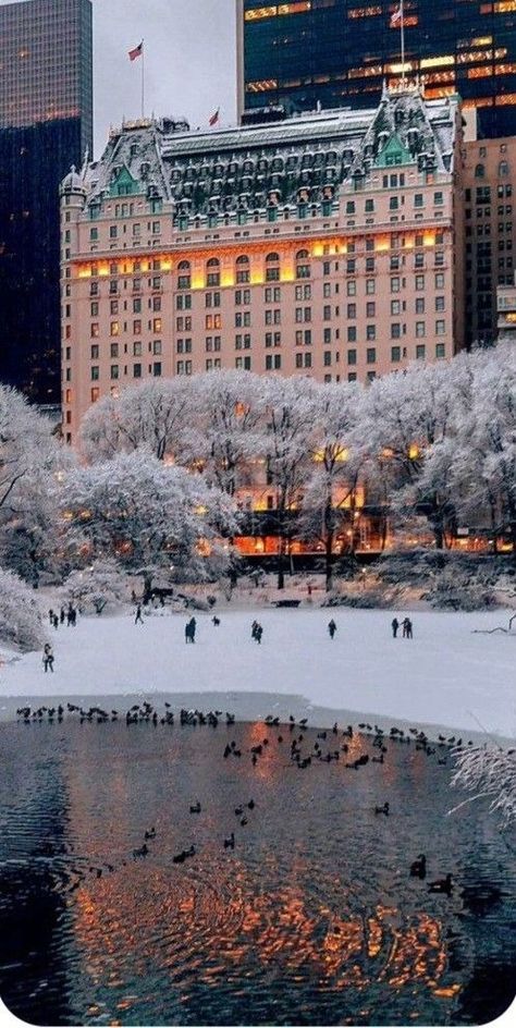 New York Noel, New York City Christmas, New York Winter, Nyc Christmas, Nyc Hotels, Nyc Aesthetic, Nyc Life, New York Life, Gifts For Boyfriend