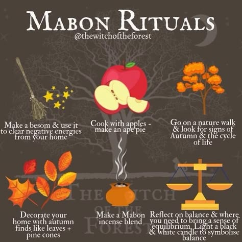 Wicca Holidays, Wiccan Sabbats, Green Witchcraft, Witch Tarot, Autumnal Equinox, Wiccan Magic, Eclectic Witch, Tarot Reader, Autumn Magic