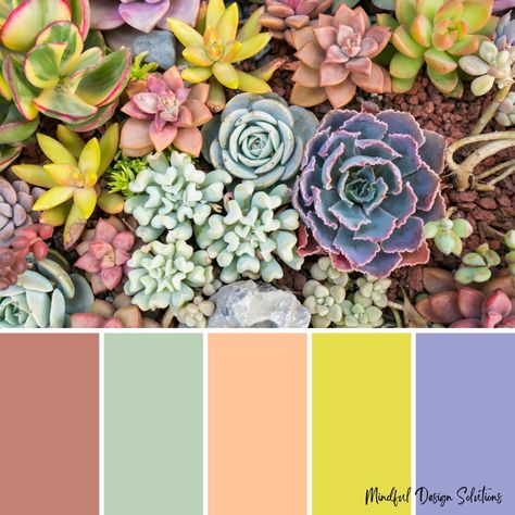 Succulent Colors Palette, Succulent Color Palette, Calming Home, Spa Branding, Purple Palette, Purple Color Palettes, Squarespace Design, Spring Color Palette, Pink Palette