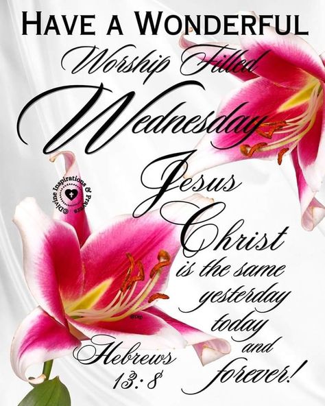 Worship Wednesday, Divine Inspiration And Prayers, Wednesday Blessings, Good Morning God Quotes, Morning Inspirational Quotes, God Quotes, Have A Blessed Day, Quotes About God, Worship