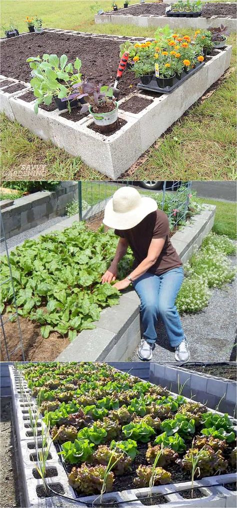 Raised Bed Gardens, Farm Bed, Vegetable Garden Raised Beds, Building A Raised Garden, Diy Raised Garden, Organic Vegetable Garden, Different Materials, Creative Gardening, Raised Bed