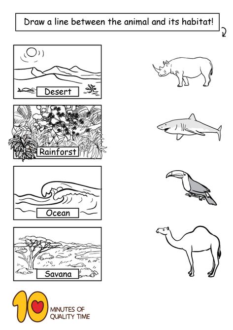 Animal Habitats Worksheets Wetlands Activities, Habitat Worksheet, Animal Habitats Preschool, Third Grade Science Worksheets, Habitat Activities, Animal Activities For Kids, First Grade Science, Animal Worksheets, Teacher Activities