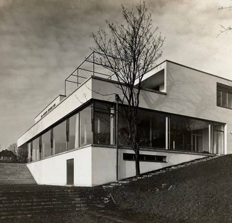 Miguel Hernández on Twitter: "Villa Tugendhat, Mies van Der Rohe. Czech Republic.… " Ludwig Mies Van Der Rohe Architecture, Miss Van Der Rohe, Mies Van Der Rohe Architecture, Tugendhat House, Villa Tugendhat, Thomas Ruff, Bauhaus Movement, Ludwig Mies Van Der Rohe, Van Der Rohe