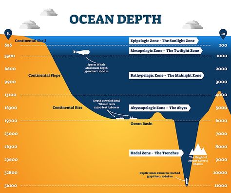 Ocean Diagram, Layers Of The Ocean, Ocean Zones, Challenger Deep, Ocean Trench, Mariana Trench, Subduction Zone, Continental Shelf, Floor Vents