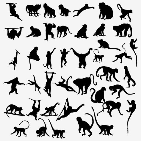 Monkey Line Art, Monkey Stencil, Line Art Animals, Monkey Silhouette, City Map Design, Black And White Animals, Monkey Icon, Travel Doodles, Monkey Monkey