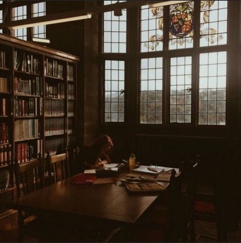 Hogwarts Library, Gryffindor Aesthetic, Dark Acadamia, Old Library, Library Aesthetic, Viborg, Images Harry Potter, Hogwarts Aesthetic, Slytherin Aesthetic