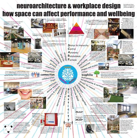 NeuroArchitecture & Workplace Design: How Space can Affect Performance and Wellbeing Environmental Architecture, Masters Thesis, Urban Analysis, Presentation Layout, Design Master, Workplace Design, Neuroscience, Health And Wellbeing, Amazing Stories