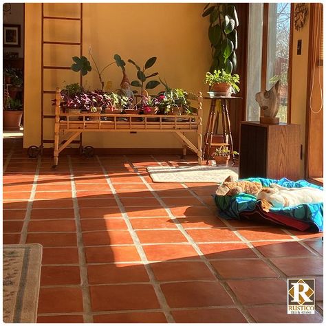 Terra Cotta Floor Tiles Kitchen, Terra Cotta Floors Bathroom, Terra Cotta Floors Living Room, Laundry Room Terra Cotta Tile, Terra Cotta Bathroom Floor, Kitchen With Terra Cotta Tile Floor, Kitchen With Terra Cotta Tile Floor Farmhouse, Video Design Ideas, Terra Cotta Walls