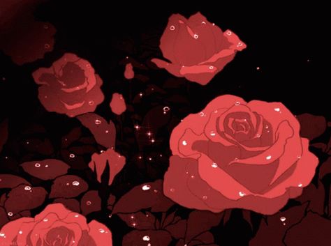 Rose Aesthetic GIF - Rose Aesthetic Gif - Discover & Share GIFs Rose Gif, Gif Wallpaper, Aesthetic Rose, Aesthetic Gif, Roses, Gif, Red