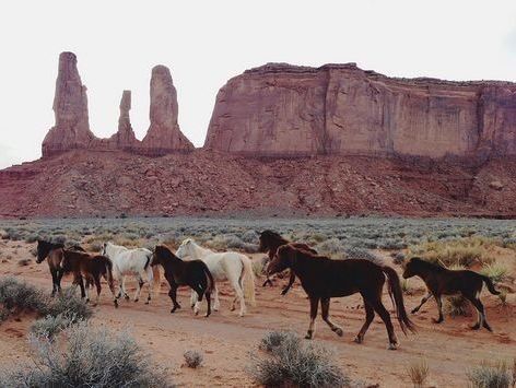 Desert Western Aesthetic, Western Images, Filler Photos, Desert Aesthetic, Ethel Cain, Western Aesthetic, Vintage Western, South West, Collage