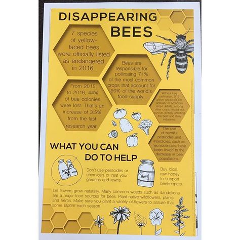 Honey Bee Infographic, Bee Infographic Design, Bees Infographic, Bee Infographic, Infographic Art Design, Honey Bee Facts, Bee Poster, Honey Logo, Scientific Poster