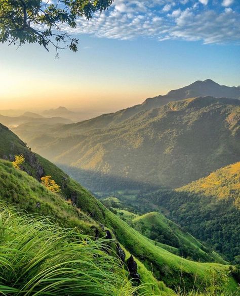 Little Adams peak ella https://www.facebook.com/Malitoursandtravels/ contact srilankatoursandholidays@gmail.com . Whatapp +94 77 010 7358 Adams Peak, Adam's Peak, Tour Packages, Sri Lanka, Natural Landmarks, Art