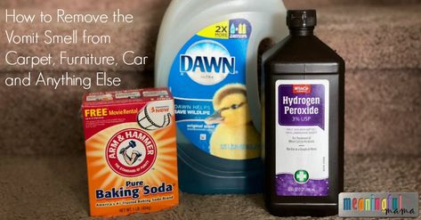 I have the perfect recipes for how to clean the vomit smell from carpet, furniture, car and anything else... including stuffed animals. Remove Pet Stains, Clean Hacks, Clean Car Carpet, Stain Remover Carpet, Carpet Stain, Clean Car, Glass Cooktop, Cleaning Stuff, Deep Cleaning Tips