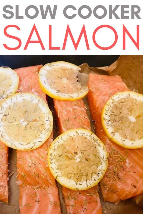 Slow Cooker Salmon Salmon In The Crockpot, Slow Cooker Salmon Recipes, Salmon Slow Cooker Recipes, Salmon Crockpot Recipes, Frozen Salmon Crockpot Recipes, Salmon In Slow Cooker, Crockpot Fish, All Clad Slow Cooker, Crockpot Salmon