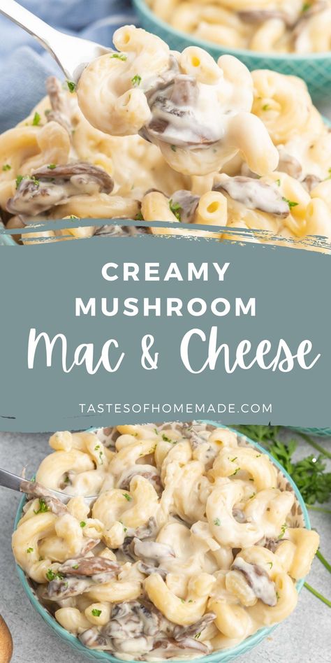 Extra creamy and cheesy with earthy mushrooms, this creamy mushroom mac and cheese is made with a combination of cheese, including sharp white cheddar, for a delicious and easy dinner that is ready in 30 minutes. Serve it as is, or toss it in the oven with some buttery breadcrumbs for extra crunch and texture. Makes a large batch, perfect for feeding the family or for leftovers Mushroom Cheese Pasta, Cream Of Mushroom Mac And Cheese, Mac And Cheese With Mushrooms, Mac And Cheese With Cream Of Mushroom, Cream Of Mushroom Soup Recipes Pasta, Mac And Cheese With Cream Of Mushroom Soup, Pasta With Cream Of Mushroom, Pasta Cream Of Mushroom Soup, Mac And Cheese With Mushroom Soup