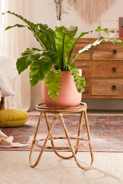 Rattan Planters, Rattan Stool, Boho Space, Ikea Chair, Eames Chairs, Planter Stand, Bohemian Bedroom, Apartment Furniture, Decoration Inspiration