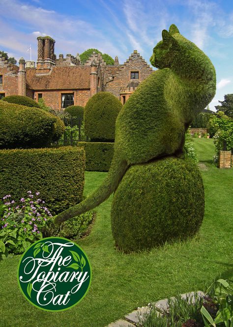 I had a lovely photograph of Tolly in this pose so I thought I'd see if I could use it for one of my photo-montages. Chenies Manor House in Buckinghamshire is the location, where both Henry VIII and Queen Elizabeth I visited on numerous occasions accompanied by their Courts. But nobody quite as regal as The Topiary Cat, of course! www.thetopiarycat.co.uk Topiary Garden, Topiaries, Land Art, Manor House, Lush Green, Urban Garden, Dream Garden, Hedges, Amazing Gardens