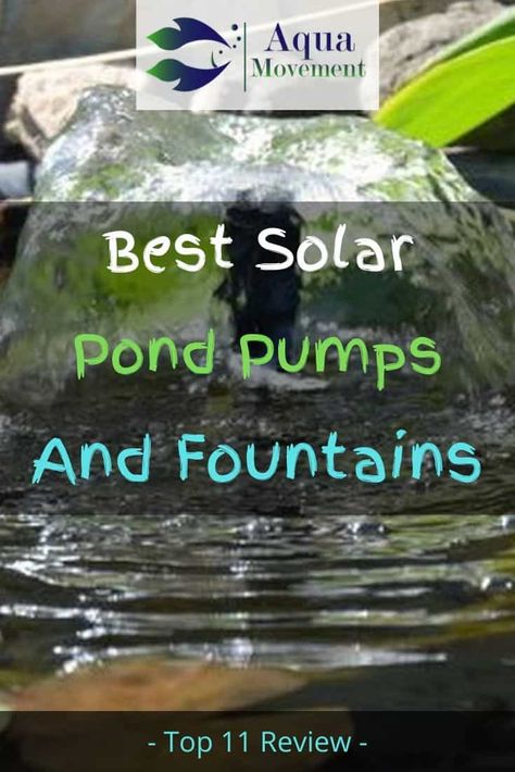 Solar Powered Pond Pump, Solar Waterfall Pump, Solar Pond Pump Water Garden, Solar Fountain Pump, Solar Pond Pump, Solar Pond Fountain, Pond Fountain Ideas, Solar Fountains Outdoor Diy, Greenhouse Pond