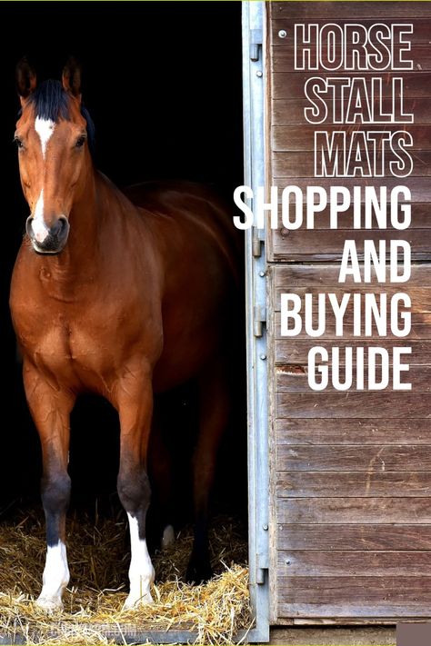 How to plan, purchase, and install horse stall mats in your barn, and some considerations to weigh before you make the investment. Horse Stall Floor, Horse Stalls Diy, Horse Stall Mats, Stall Mats Horse, Stall Flooring, Barn Stalls, Equestrian Supplies, Horse Stall, Farm Stuff