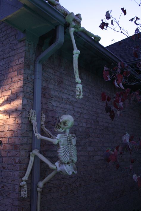 Skeletons climbing your gutter downspouts for Halloween Front Yard Halloween Decorations, Porche Halloween, Diy Halloween Dekoration, Outside Halloween Decorations, Imprimibles Halloween, Dekorasi Halloween, Halloween Diy Outdoor, Halloween Skeleton Decorations, Halloween Outside