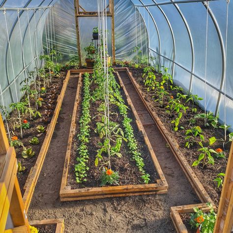 Polly Tunnel, Polytunnel Ideas, Backyard With Garden, Natural Backyard, Biointensive Gardening, Poly Tunnel, Hoop House, Shed Of The Year, Backyard Dreams