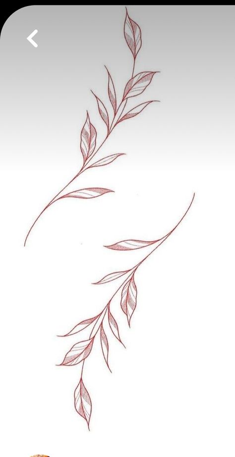 Lily And Olive Branch Tattoo, Palm Branches Tattoo, Floral Barbed Wire Tattoo, Reed Tattoo Design, Leaf Filler Tattoo, Olive Branch Wrap Around Tattoo, Leaf Line Tattoo, Wrap Around Tattoo Stencil, Vine Wrap Tattoo