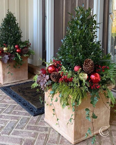 Christmas Edinburgh, Holiday Planters, Front Door Decor Ideas, Winter Containers, Christmas Front Door Decor, Christmas Urns, Winter Planters, Porch Pots, Outdoor Christmas Planters