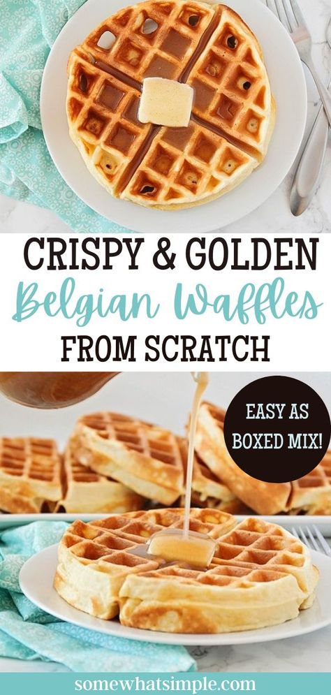 Everyone loves a soft and fluffy Belgian waffle covered in butter and syrup, but have you found THE recipe for perfectly golden and crispy waffles every time? You can cross Bisquik off your grocery list, because this from scratch recipe is not only delicious, but seriously just as easy as making a store-bought version! Mini Belgian Waffles, Pancake Vs Waffle Batter, Belgian Waffle Mix Recipe, Crispy Belgian Waffles, Waffles From Scratch Easy, Crisp Waffle Recipe, Crispy Waffles Belgian, How To Make Crispy Waffles, Vanilla Belgian Waffle Recipe