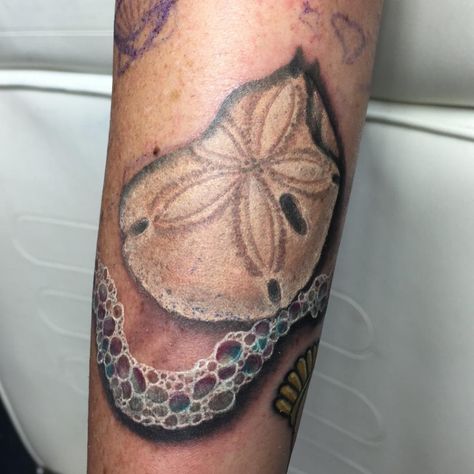 Sand Dollar Tattoo, Dollar Tattoo, Behind Ear Tattoos, Dove Tattoo, Ear Tattoos, Sand Dollars, Old Tattoos, Tattoos For Daughters, Sand Dollar