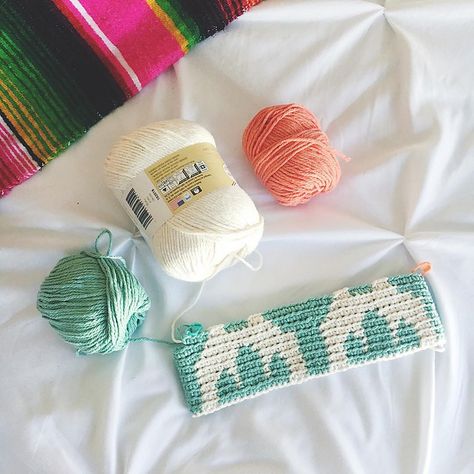 Crochet Case, Crochet Shell Stitch, Crochet Cactus, Modern Crochet Patterns, Crochet Pouch, Tapestry Crochet Patterns, Crochet Bags Purses, Vertical Lines, Crochet Tapestry