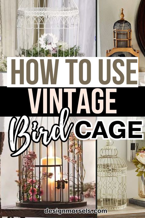 If you have a birdcage, here are 9 ideas for how to use this vintage treasure in your home decor, and where to find them. They aren't just for birds. How To Decorate Bird Cages, Decorative Cages Ideas, Metal Cage Decor, Metal Bird Cage Decor Ideas, Decorate Bird Cage, Ideas For Bird Cages, How To Style A Birdcage, Birdcages Decor Ideas Display, How To Decorate A Bird Cage Ideas