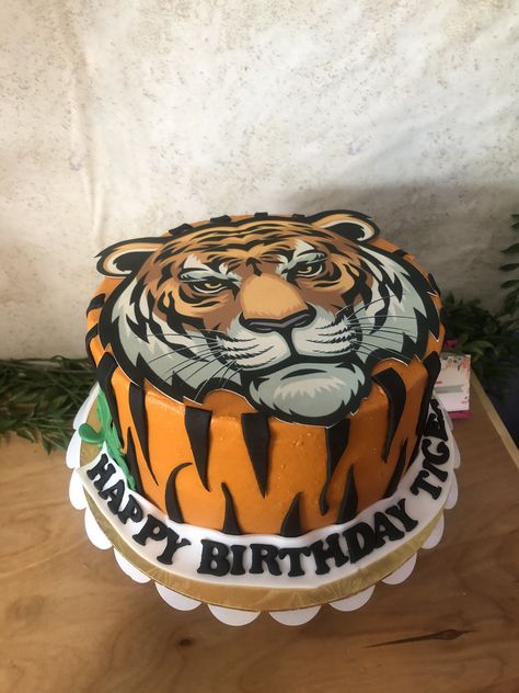 Tiger Cakes, West Tigers, Tiger Cake, Tiger Birthday, Wests Tigers, Boho Dresses Long, Baby Birthday Cakes, Baby Birthday, How To Make Cake