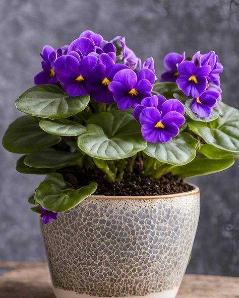 African Violet Plant Dried Tree Branches, Planter Holder, Diy Hanging Planter, Branches Diy, African Violets Plants, Violet Plant, African Violet, Diy Hanging, Hanging Planter