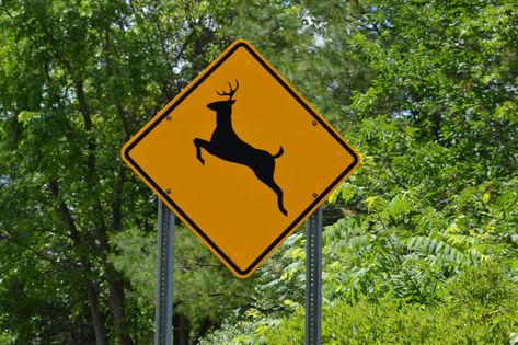 Deer Crossing Sign Safety Planning, Deer Crossing, Safety Video, Crossing Sign, State Of Michigan, How To Stay Awake, Statistics, The List, Michigan