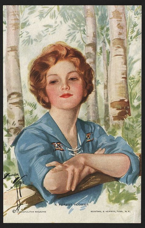 “A Forest Flower” Rare R&N No. 972 Postcard Signed Harrison Fisher Picture Of A Woman, Harrison Fisher, Flapper Art, Woman Artist, Postcards For Sale, Forest Flowers, Flower Illustration, Up Girl, Flower Pictures