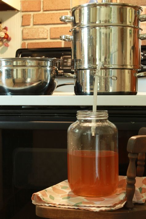 Apple Cider Canning Recipes, Canning Apple Juice With Juicer, Winter Canning Ideas, Homemade Apple Juice With Juicer, Steam Juicer Recipes Canning, Steam Juicer Recipes, Canning Apple Cider, Canning Apple Juice, Canning Juice