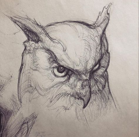 Owl Anatomy Drawing, Animal Sketching Ideas, Detailed Animal Drawings, Sketch Book Animals, Owl Drawing Reference, Animals Sketches Pencil, Art Sketches Animals, Animal Sketches Realistic, Animal Pencil Sketches