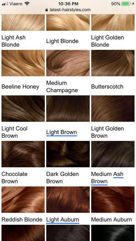 Brown Hair With Gold Undertones, Brown Hair Colors Chestnut, Chocolate Brown Hair Men, Chest Nut Brown Hair, Light Brown With Red Undertones, Dark Bronze Hair, Chestnut Hair Color Dark, Brown Hair Palette, Cocoa Hair Colour