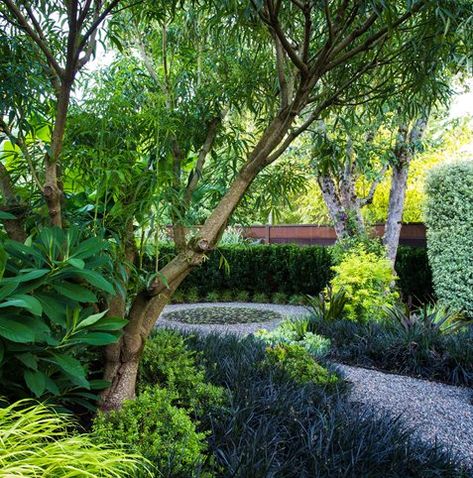 Black Mondo Grass Landscaping, Mondo Grass Ideas, Mondo Grass Landscaping, Ophiopogon Planiscapus, Grass Planting, Black Mondo, Portland Garden, Garden Woodland, Black Mondo Grass