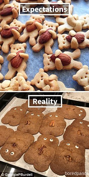 Another wanted to copy a recipe for pecan sugar cookies that look like bears, but ended up with disfigured creatures that have spread out way too thinly Baking Fails, Cooking Fails, Cake Fails, Food Fails, Cooking Quotes, Expectation Reality, You Had One Job, Expectation Vs Reality, Nailed It