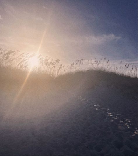 Sun setting on beach behind tall grass with sun peaking through a walkway onto the sand Everyday Spotify Playlist Cover, Morning Spotify Playlist Cover, Sunny Playlist Cover, Summer Aesthetic Spotify Cover, Sun Playlist Cover, Morning Spotify Playlist, Spotify Playlist, Beach Aesthetic, Beach Sunset