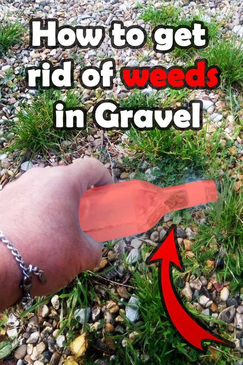 Are weeds popping up between the gravel in your driveway or garden? Don't worry, we've got you covered. Our proven methods for getting rid of weeds growing in gravel are easy and affordable. From using household products like vinegar and salt to implementing natural solutions like mulch and landscaping fabric, we'll have your gravel looking clean and pristine in no time. Say goodbye to pesky weeds and hello to a beautiful outdoor space. Gravel Driveway Landscaping, Kill Weeds With Vinegar, Kill Weeds Naturally, Killing Weeds, Gravel Driveway, Weeds In Lawn, Driveway Landscaping, Garden Weeds, Beautiful Outdoor Spaces