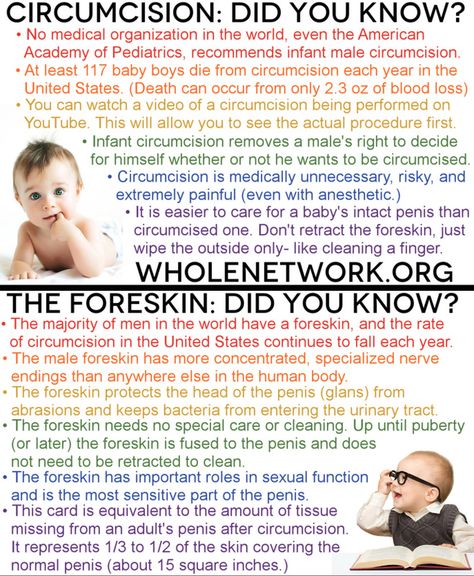 Picture Circumcision Care Newborn, Natural Parenting, Attachment Parenting, Newborn Care, Healthy Babies, Pregnancy Birth, Hospital Bag, Baby Health, Pregnancy Photos