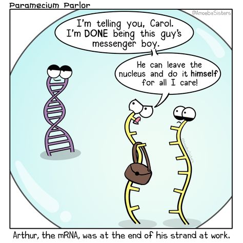 It's tense in the nucleus.  #protein synthesis #DNA #genetics Bio Jokes, Biology Jokes, Biology Memes, Science Cartoons, Science Comics, Biology Humor, Nerdy Jokes, Science Puns, Nerd Jokes