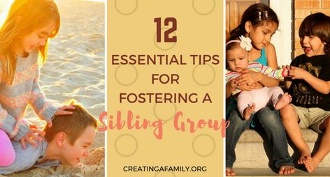 Essential Tips for Fostering a Sibling Group Adopting Siblings, Foster Care Announcement, Kinship Care, Adopted Children, Parenting Jokes, Adoption Announcement, Foster Parent, Foster Care Adoption, Parenting Plan