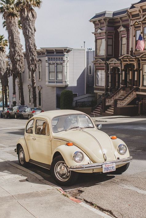 San Francisco متحف فني, Van Vw, Istoria Artei, Old Vintage Cars, Vw Vintage, Fotografi Vintage, Classy Cars, Pretty Cars, Vw Bug