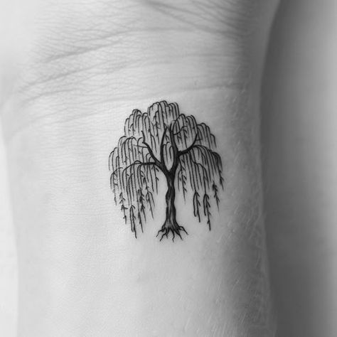 Tiny Willow Tree Tattoo, Willow Tree Arm Tattoo, Tattoos To Symbolize Growth, Wheeling Willow Tree Tattoo, Weeping Willow Tattoo Simple, Willow Tree Tattoo Designs, Tree Hugger Tattoo, Willow Tree Tattoo Small Simple, Simple Willow Tree Tattoo